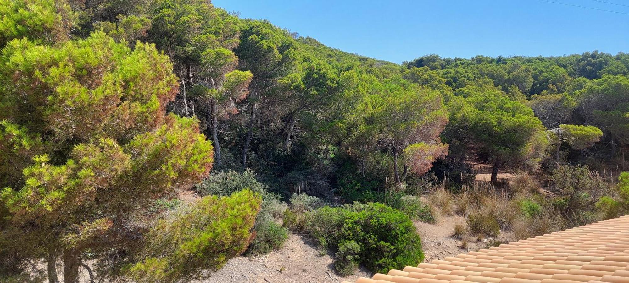 Sol Y Mar Сasa de vacaciones Cala Ratjada (Mallorca)